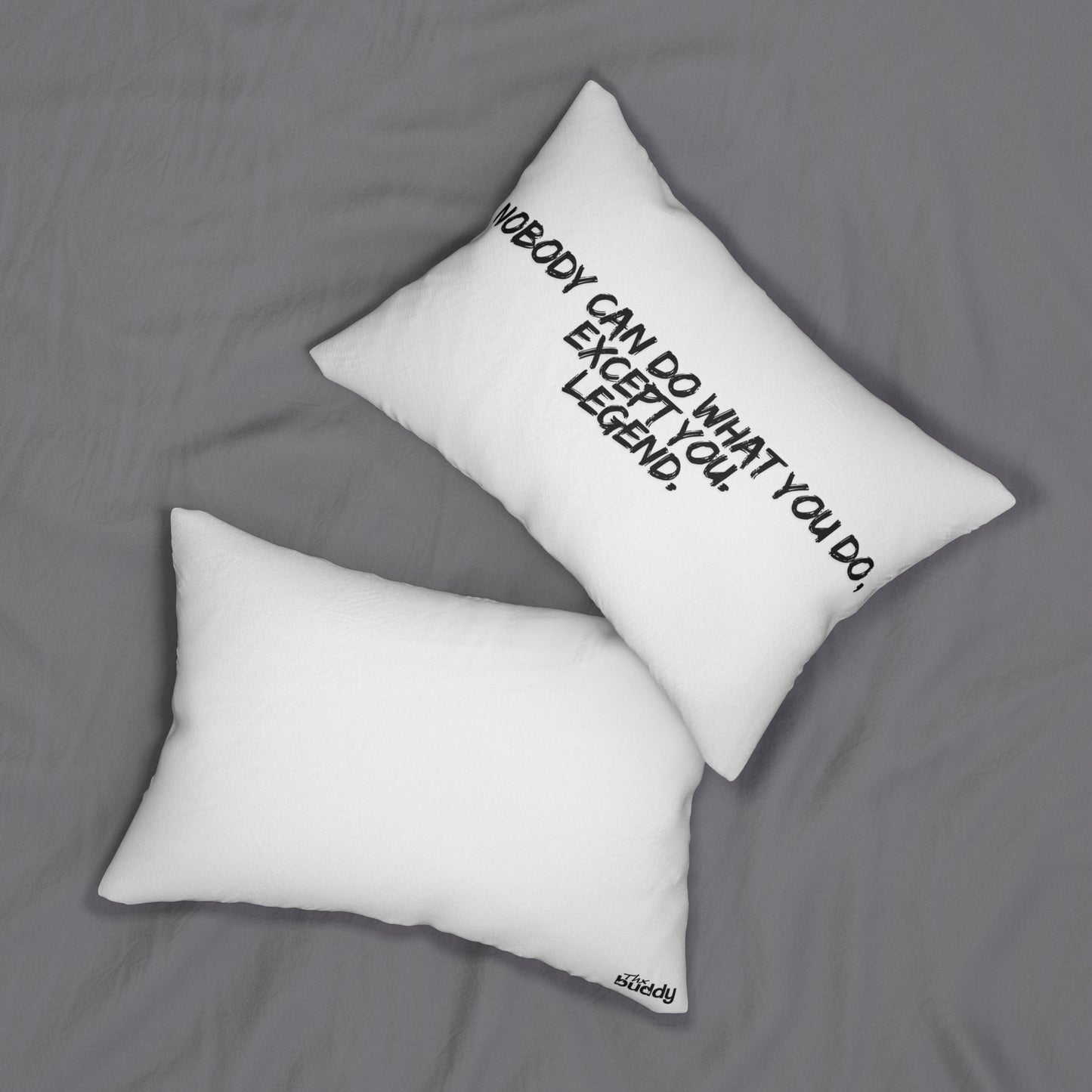 Nobody Can Do What You Do, Except You. Legend. Pillow