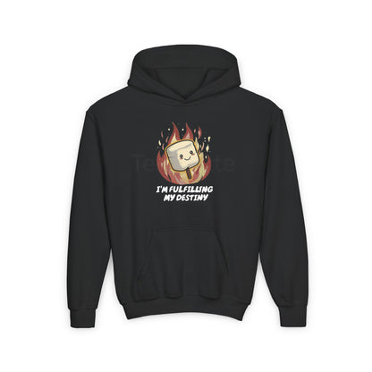 I'm Fulfilling My Destiny Kids/Teen Hoodie